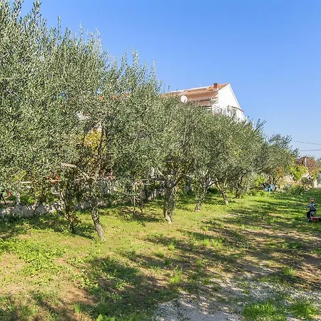 Apartment Irena